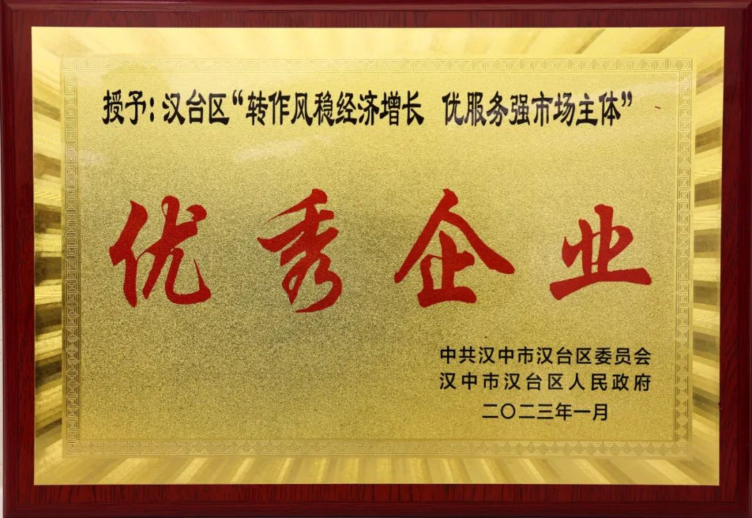 創(chuàng)新研究院榮獲漢臺(tái)區(qū)“轉(zhuǎn)作風(fēng)穩(wěn)經(jīng)濟(jì)增長(zhǎng) 優(yōu)服務(wù)強(qiáng)市場(chǎng)主體”優(yōu)秀企業(yè)