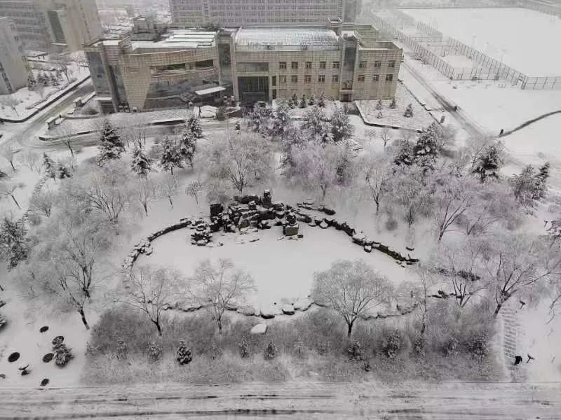 南山落雪